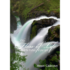 The Flow of Life and the Structure of Your Spirit Download